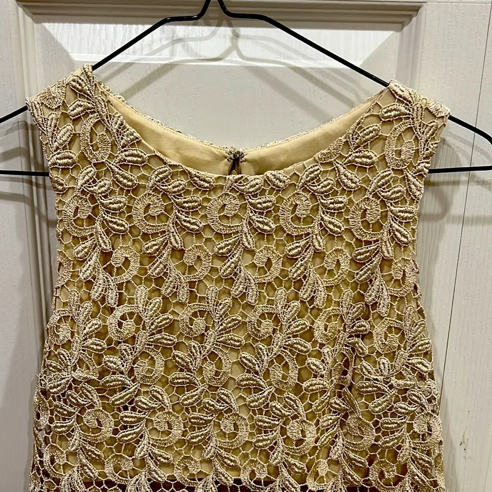 Caché dress, tan and gold color, good condition - Picture 2 of 7